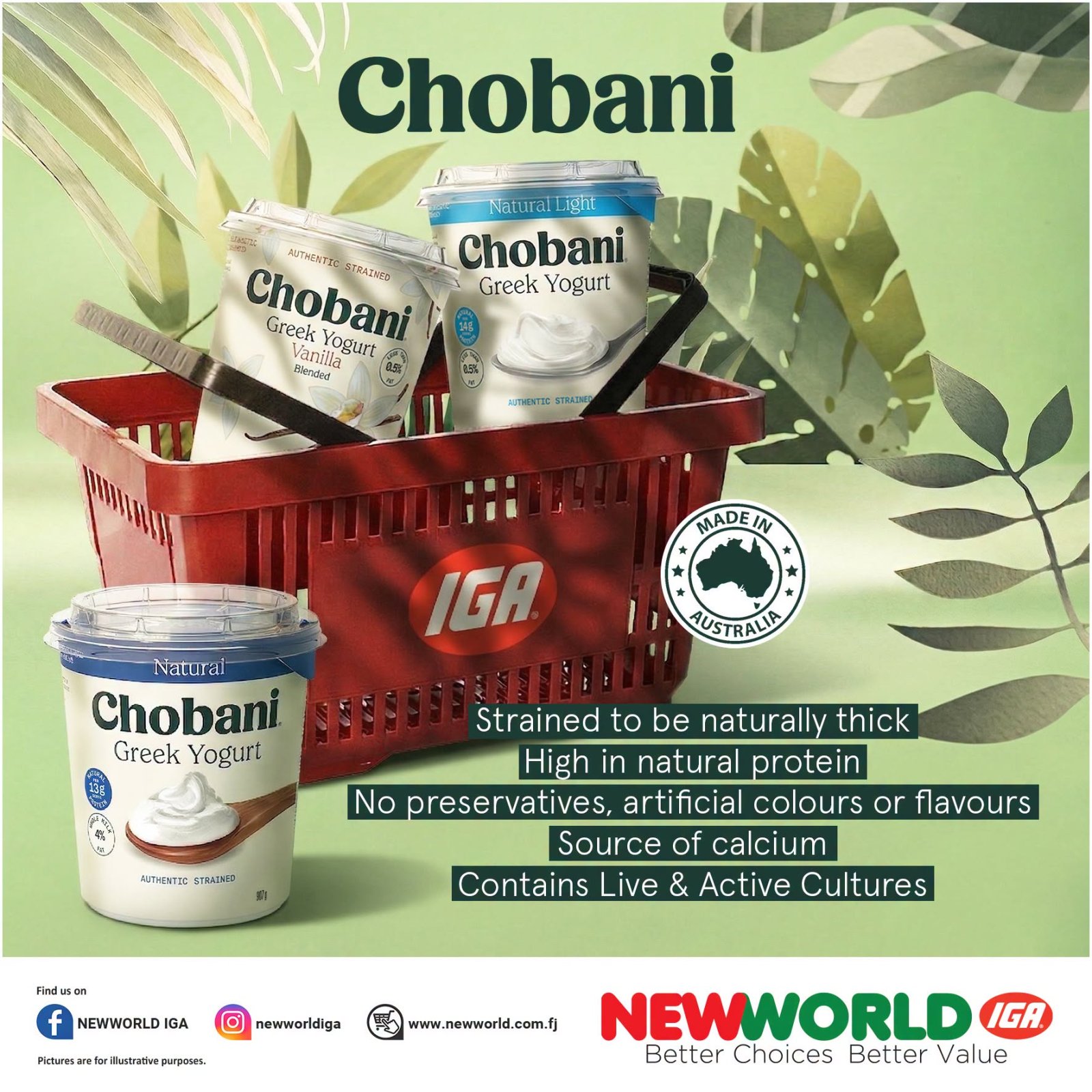 Chobani Greek Yogurt Range
