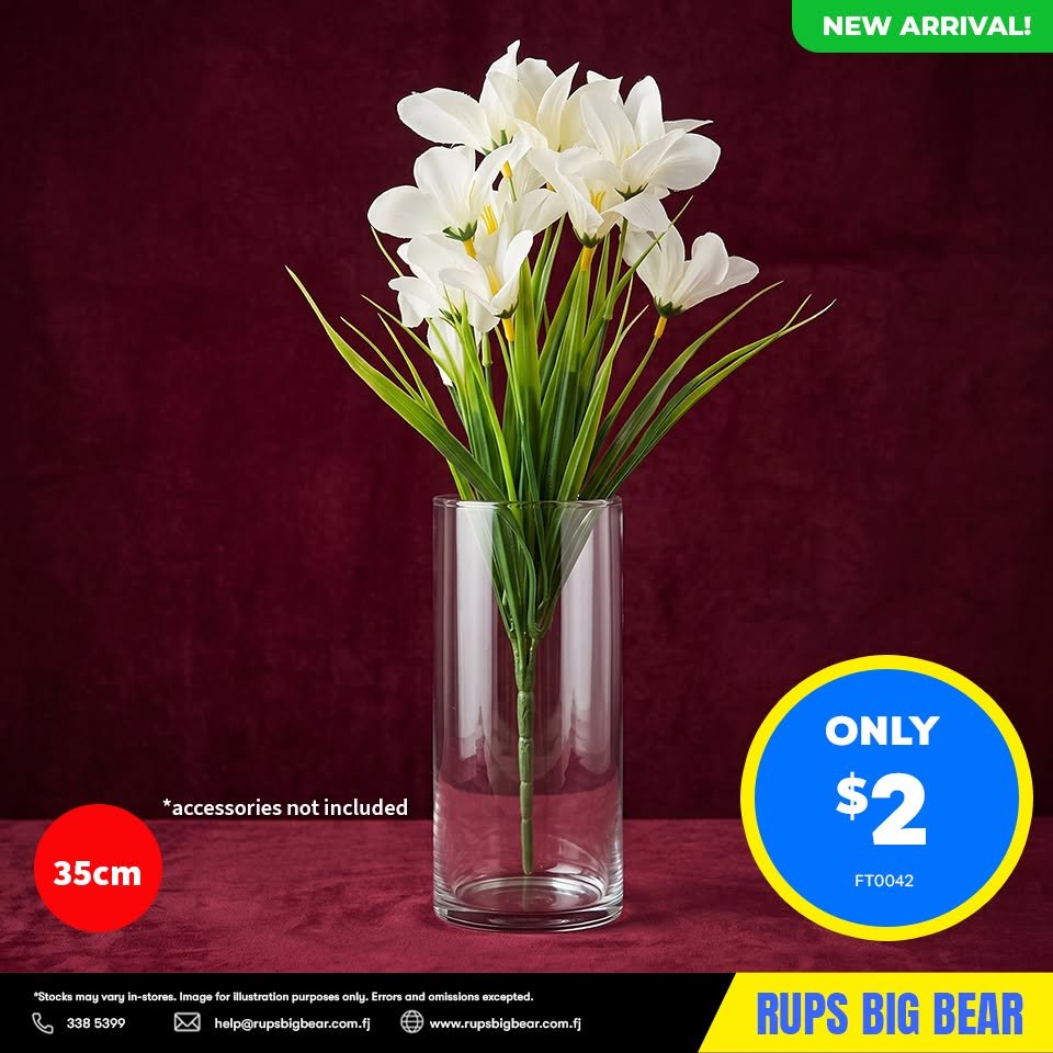 White Iris Flowers in Glass Vase