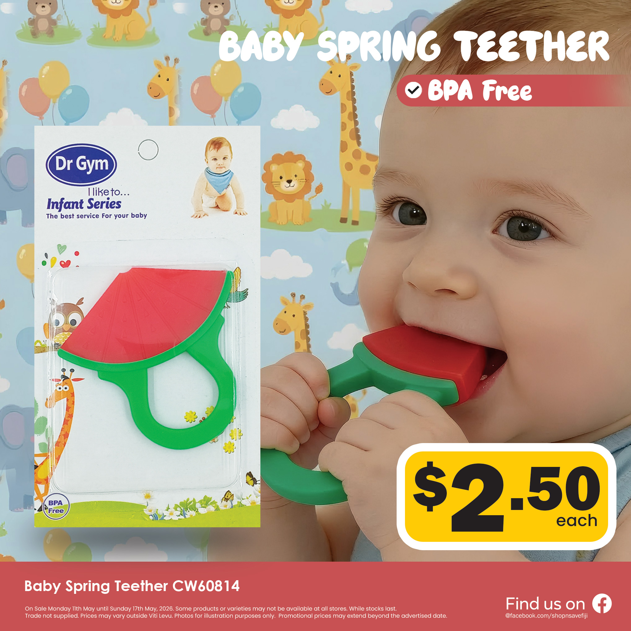 Baby Spring Teether CW60814