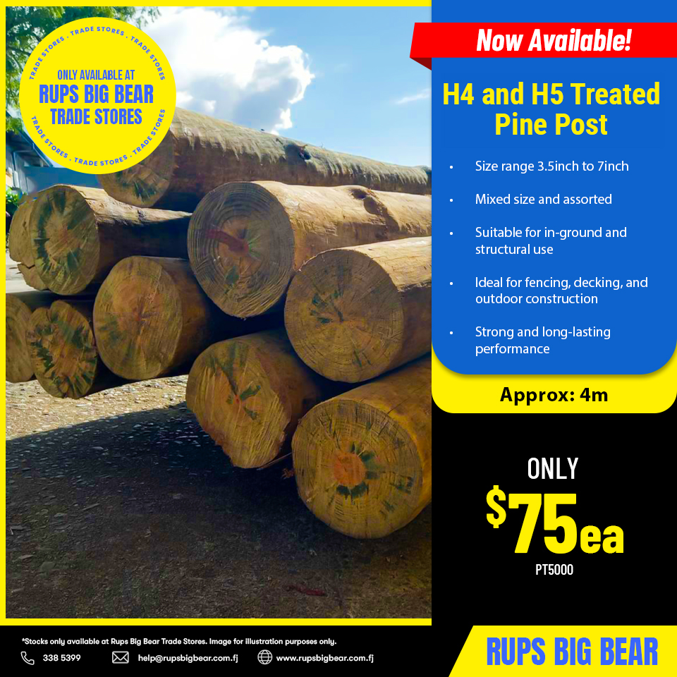 H4 and H5 Treated Pine Post