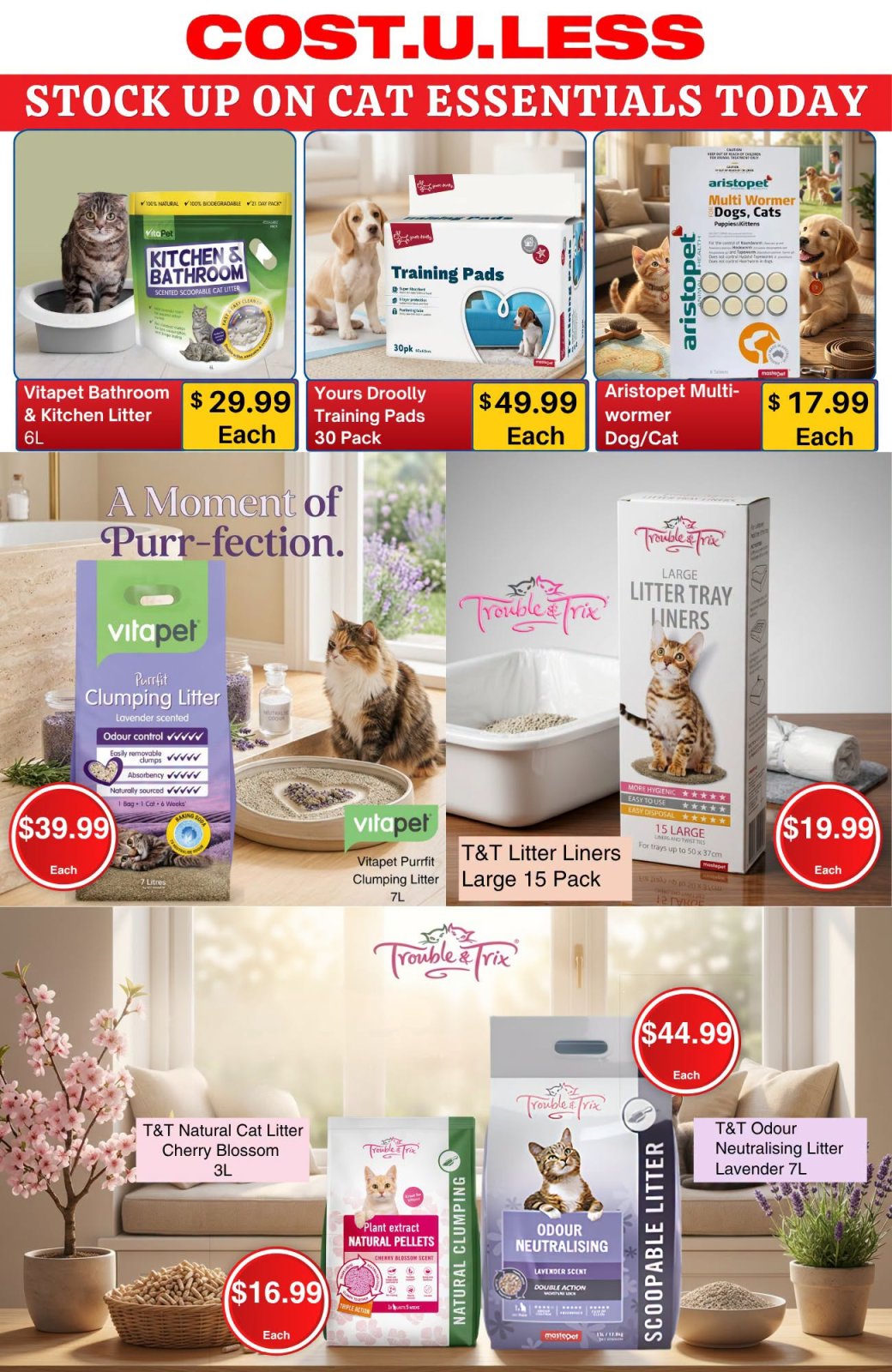 Stock Up on Cat Essentials Today - Page 1