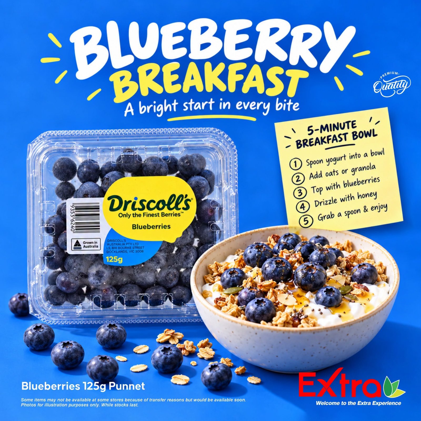 Blueberries 125g Punnet
